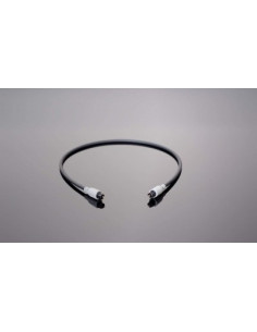 Transparent optical link