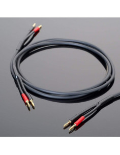 Transparent Hardwired