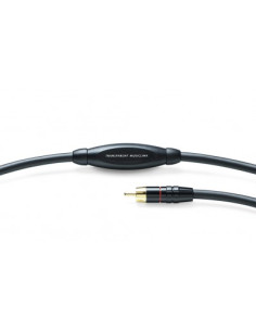Transparent G6 MusicLink RCA