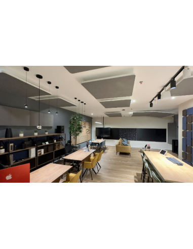 Helen Bas Trap Wall 80 Hz to 120 Hz