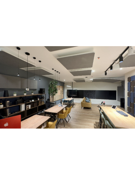 Helen Bas Trap Wall 80 Hz to 120 Hz