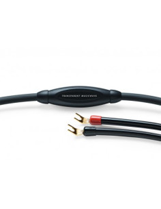 Transparent MusicWave G6