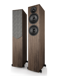 Acoustic Energy AE309 mk2