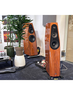 QLN Master 7 2