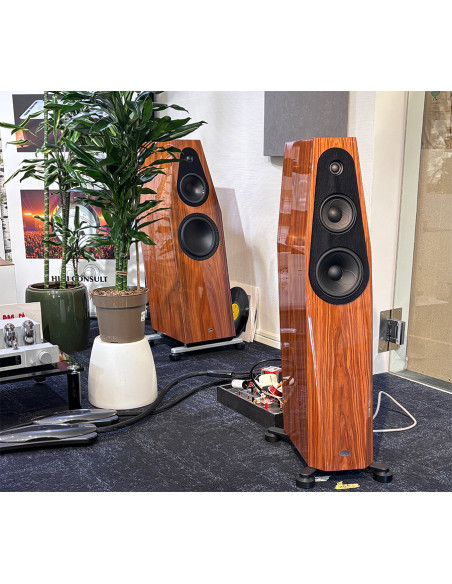 QLN Master 7