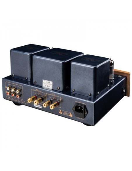 Cayin MT-12N