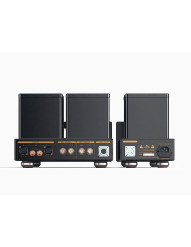 Cayin HA-300MK2