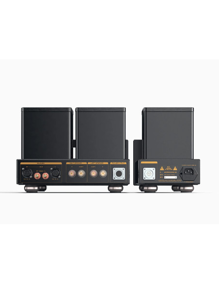 Cayin HA-300MK2