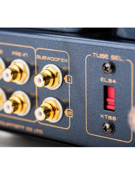Cayin CS-100A