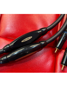 Transparent Plus RCA 2