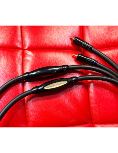 Transparent Plus RCA