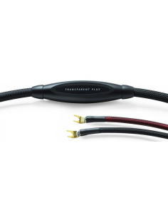 Transparent MusicWave Plus G6