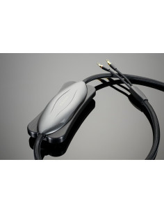 Transparent Reference Gen 6