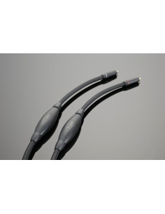 Transparent Super RCA G6