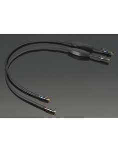 Transparent Reference RCA G6