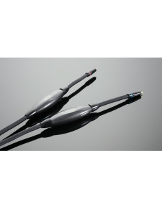 Transparent Reference XL RCA G6