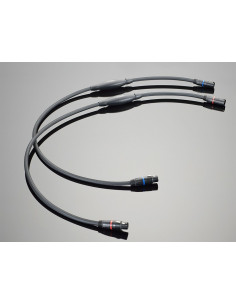 Transparent Super XLR G6