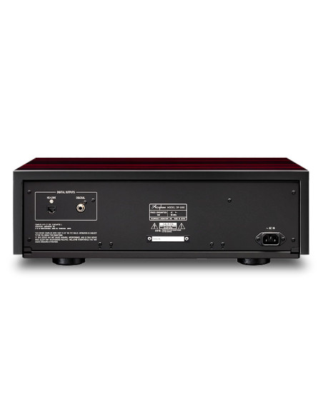 Accuphase DP 1000 trp