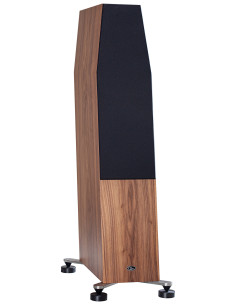 Qln Prestige Five 2