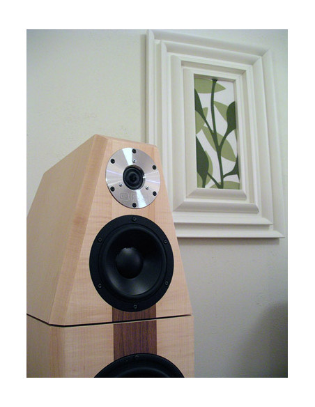 QRS Supernova 1