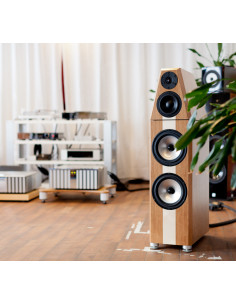 QRS Supernova Evo 3 LE