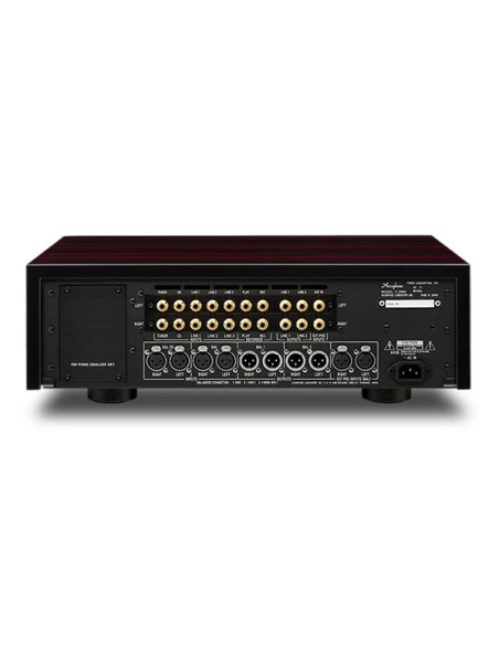 Accuphase C 2900