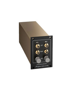 Accuphase Phono mudule AD-2900