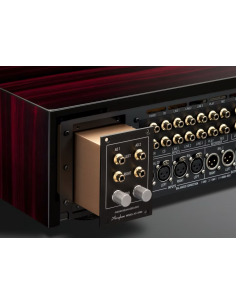 Accuphase Phono mudule AD-2900 2