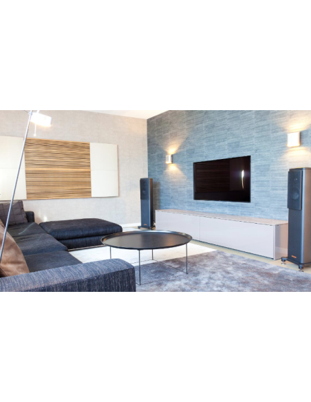 Siena Doble V W Absorber 315 Hz - 5000 Hz