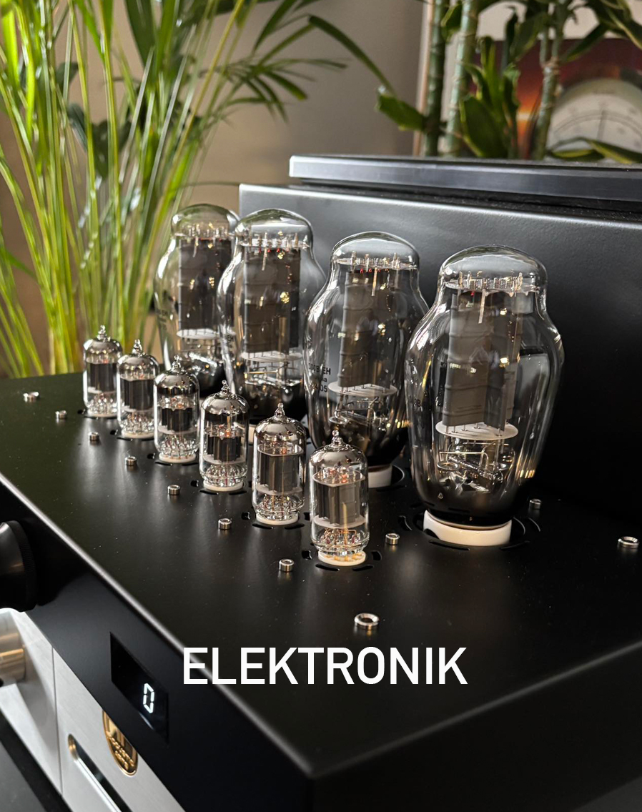 Elektronik